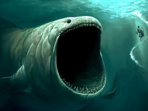 Bloop Bloop
