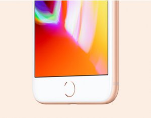    iPhone 8 | 8 Plus:      