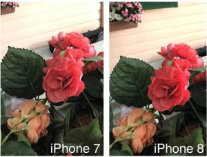    iPhone 8 | 8 Plus:      